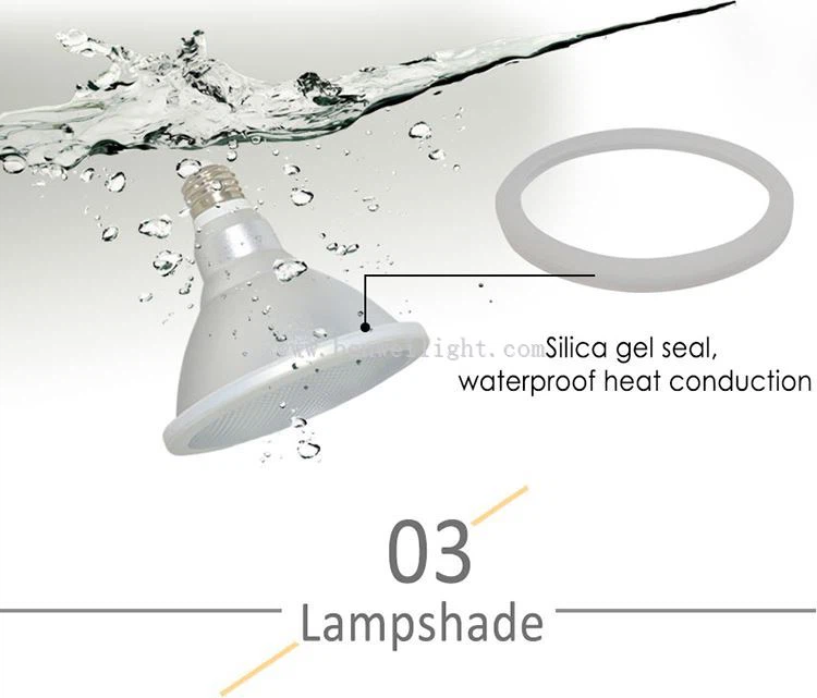 par30 led e27