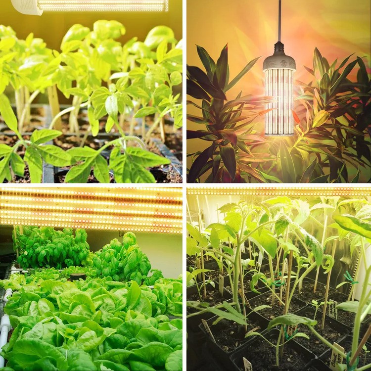 led corn bulb for growing4