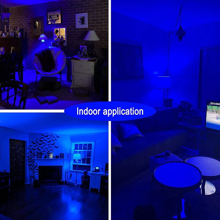 blue light bulbs application blue light bulbs application