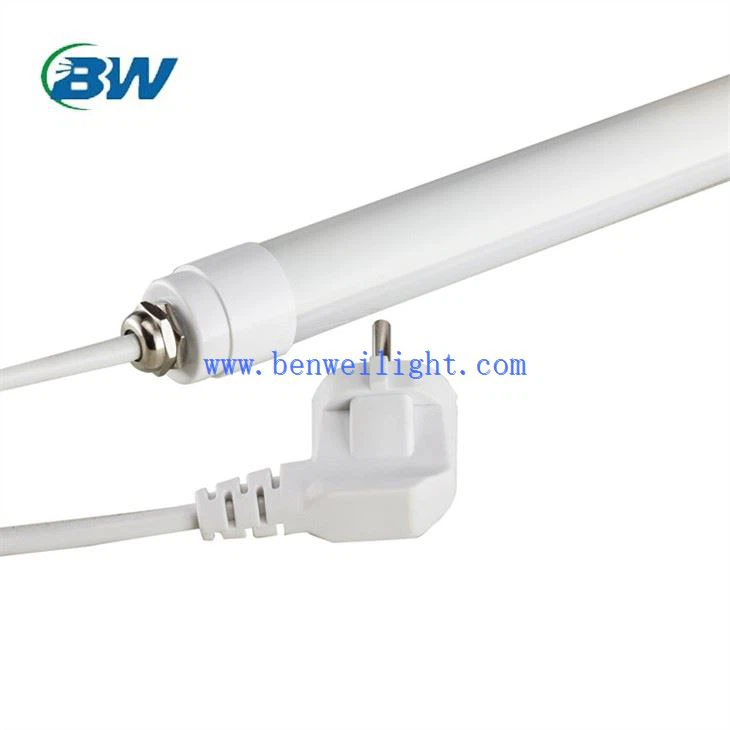 led lights for laying hens