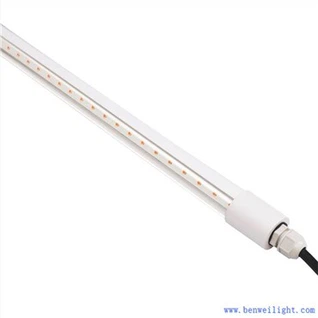 Комплект сонячного світла для птиці