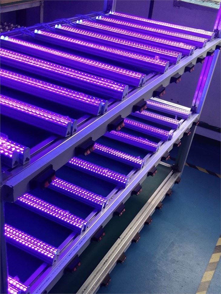 4ft Blacklight Bulb