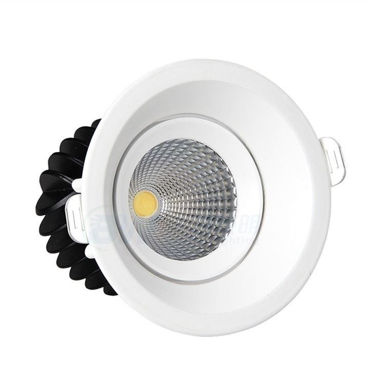 Halo Surface Mount Downlight
