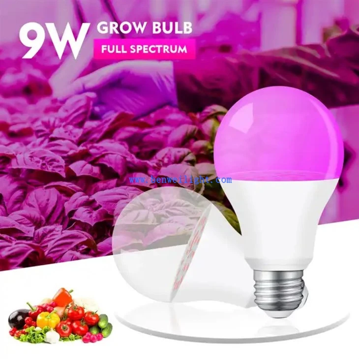 E27 Full Spectrum Led Bulb 1