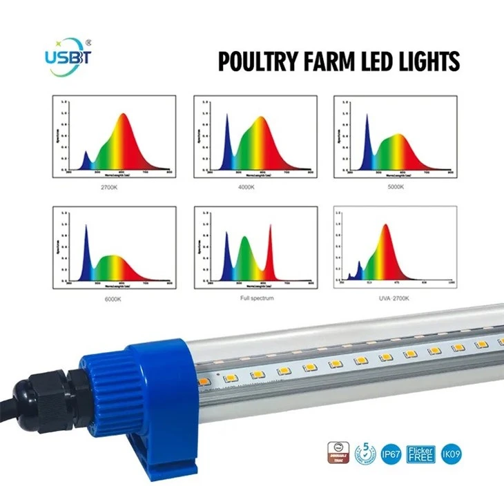 DC12V LED Poultry Lighting CCT