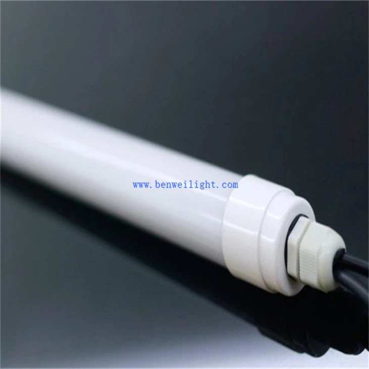 Dairy and poultry light (3)