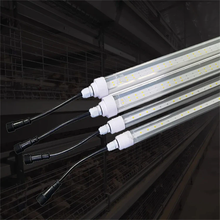 Coop Lighting 2