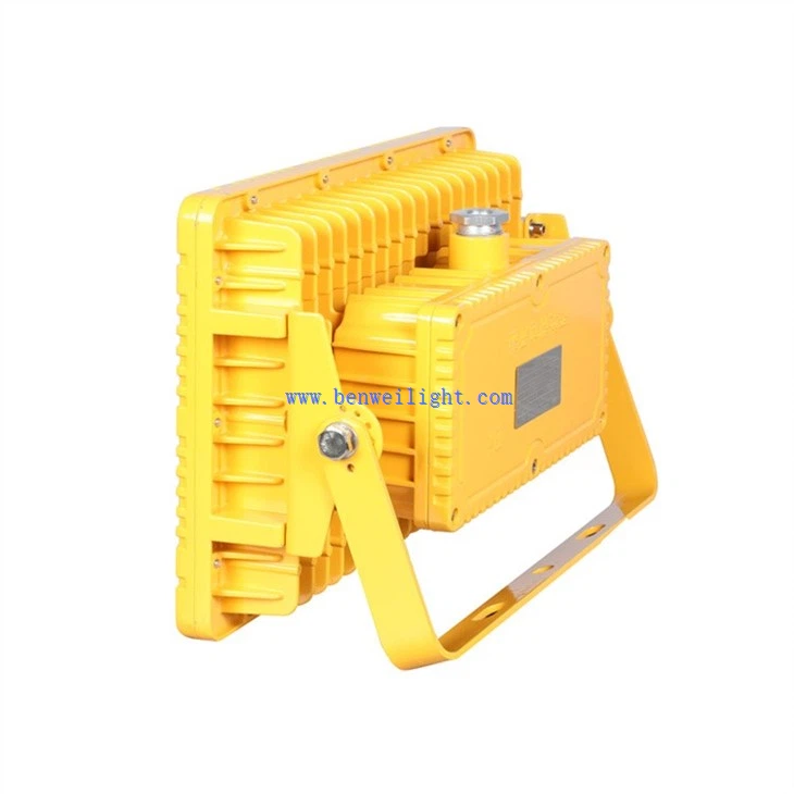 Intrinsically Safe Light (4)