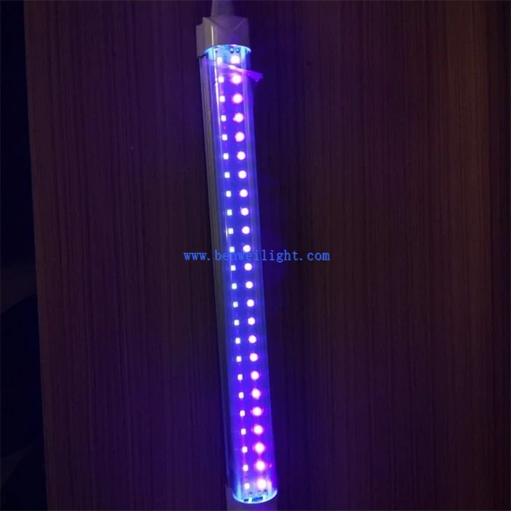 LED Lamp (2)