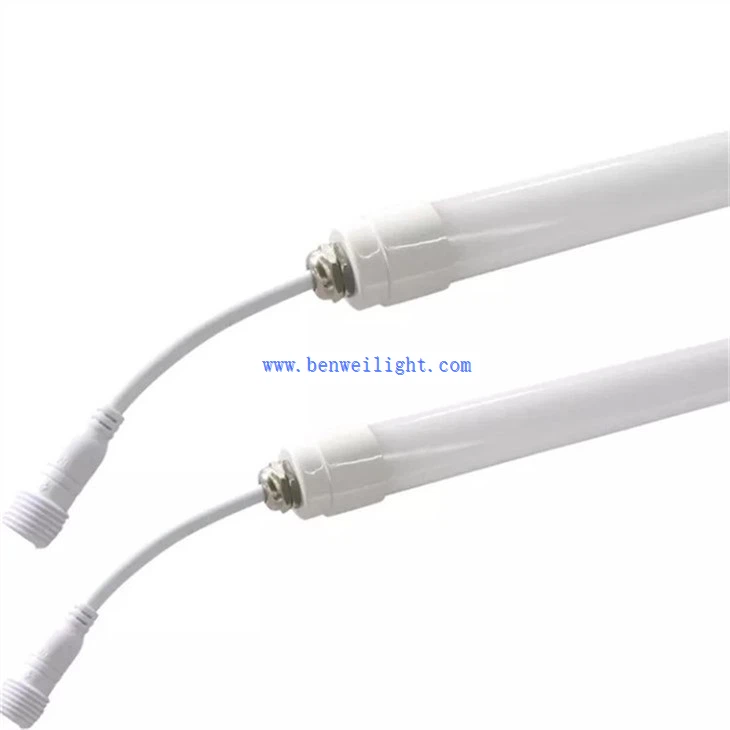 Poultry House Lamp (1)