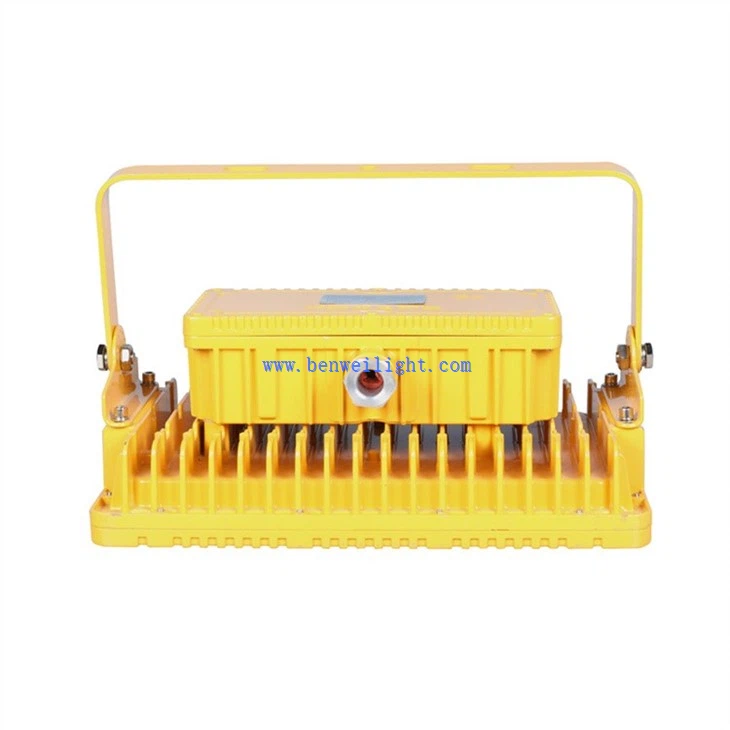 Safe Chemical Plant Flood Light (4)