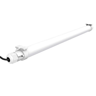 Синє світлодіодне світло для птиці