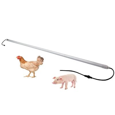 Диммований 2700-6500k Blue Poultry Led Light